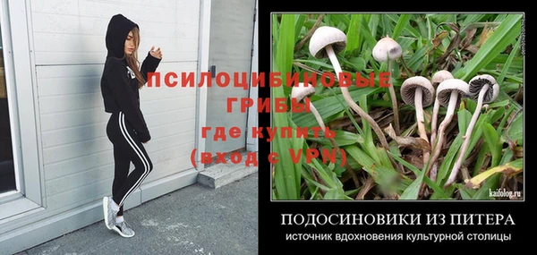 винт Сафоново