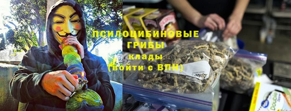 твердый Сатка