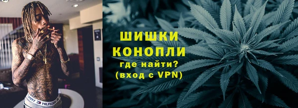 СК Саяногорск