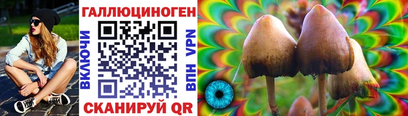 hydra ТОР  нарко площадка состав  Галлюциногенные грибы Psilocybine cubensis  Тобольск 