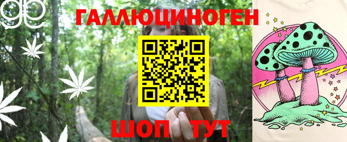 Псилоцибиновые грибы Cubensis Тобольск