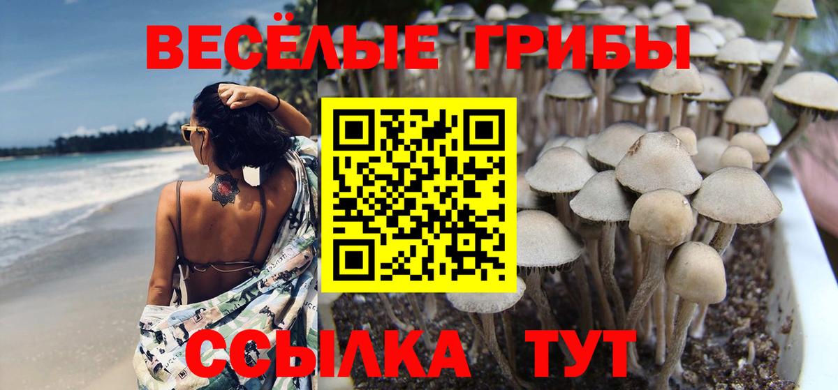 Тобольск  Галлюциногенные грибы Cubensis  где купить   Вход с VPN  Псилоцибиновые грибы мухоморы 